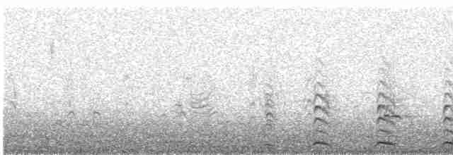 Краснолобая лысуха - ML576393601