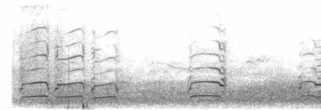 Barge marbrée - ML576416551