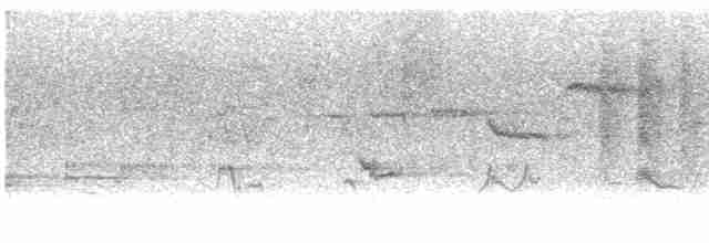 Paruline à gorge noire - ML576419661