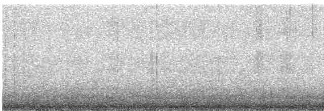 Чирянка жовтодзьоба - ML576430231