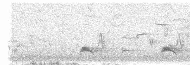 Brown-crested Flycatcher - ML576488811