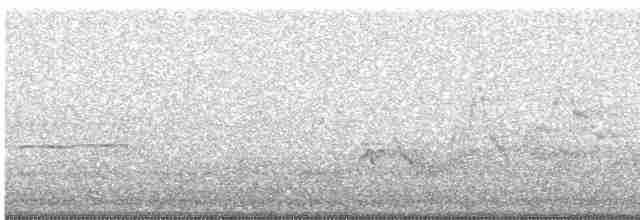 Дрізд-короткодзьоб Cвенсона - ML576500601