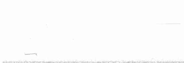 Черногорлая малая овсянка - ML576586401