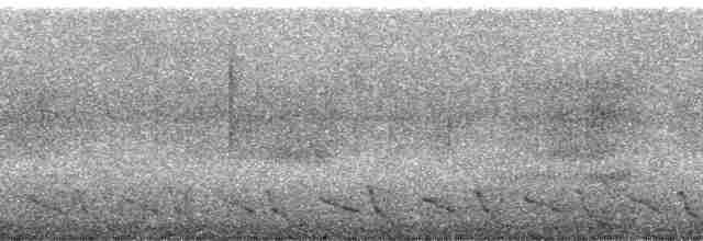 Méliphage de Viti Levu - ML5766