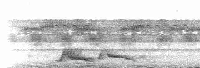 Pauraquenachtschwalbe - ML576602171