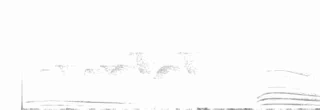 Трагопан синьогорлий - ML576628721