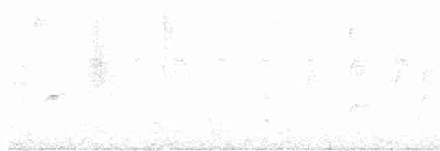 Зеленогорлая эуфония - ML576709511