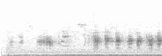Great Reed Warbler - ML576725901