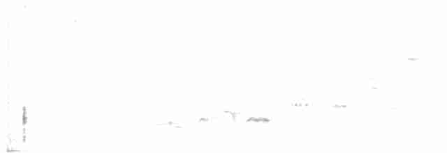 Дрізд-короткодзьоб Cвенсона - ML576731081