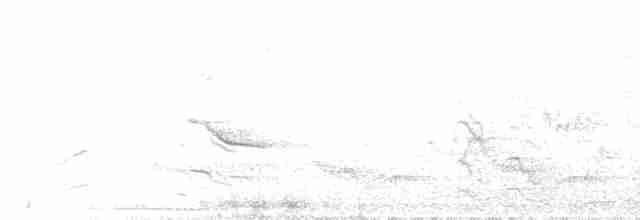 Домовый крапивник (grenadensis) - ML576772161