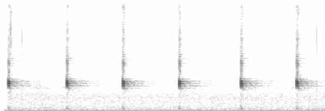 chřástal virginský (ssp. limicola/friedmanni) - ML576782131