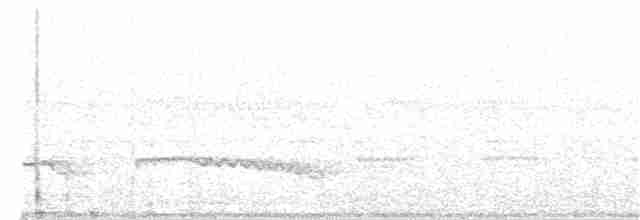 Дрімлюга гірський (підвид poliocephalus) - ML57680381