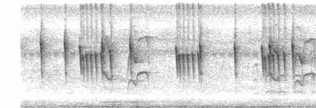 Мухолов-клинодзьоб сірий - ML576804471
