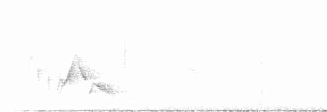 White-eyed Vireo - ML576818371