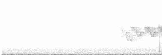 Cerulean Warbler - ML576845051