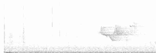 Cerulean Warbler - ML576845071