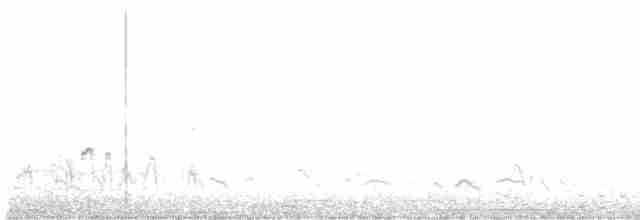 Magellanic Plover - ML576891581