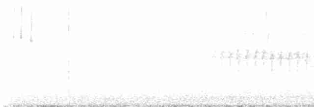 Юнко сірий (підвид hyemalis/carolinensis) - ML576949231