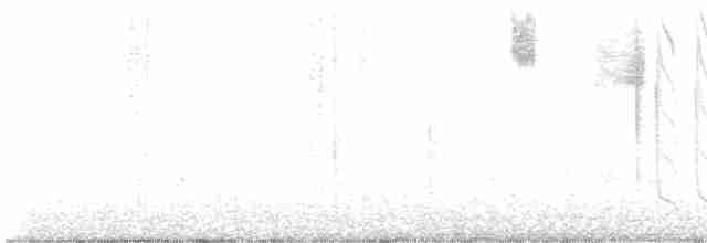 Юнко сірий (підвид hyemalis/carolinensis) - ML576949971