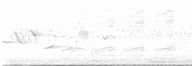 Юнко сірий (підвид hyemalis/carolinensis) - ML576952881