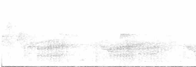 黑玄燕鷗 - ML576966101