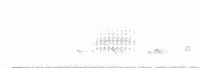 brunkinnskogtrost (ustulatus gr.) - ML576982091