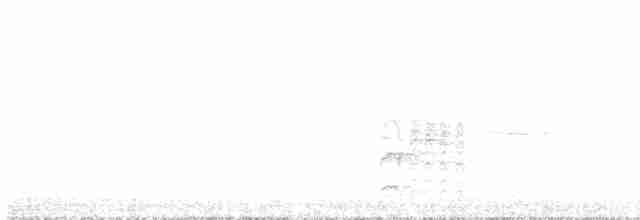 Bülbül Ardıcı [ustulatus grubu] - ML576982111