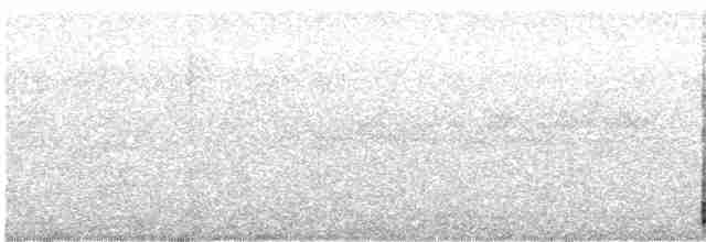 Дятел-смоктун сосновий - ML576983911