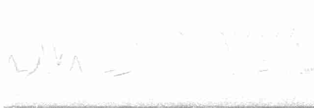 Common Yellowthroat - ML576987521