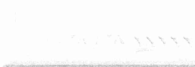 Yellow-rumped Warbler (Myrtle) - ML576988581