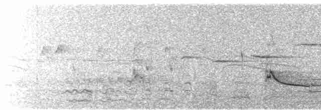 luňák hvízdavý - ML577021021