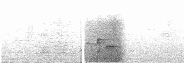 strakapoud bělohřbetý - ML577048161