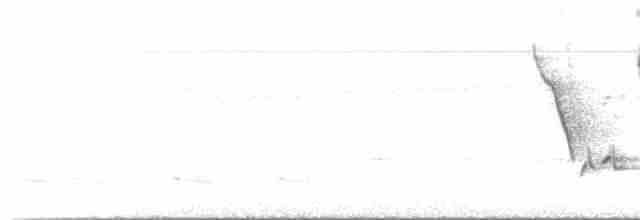 Каролинский крапивник - ML577121971
