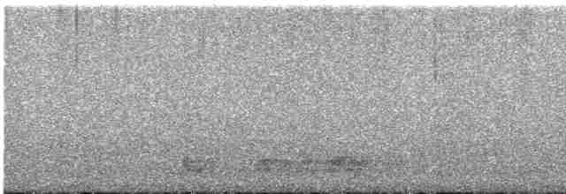 Rufous Nightjar - ML577125811