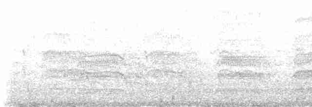 Common Tern - ML577142351