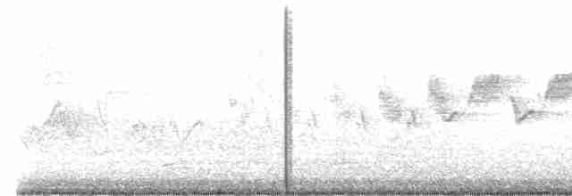 Black-throated Gray Warbler - ML577162171