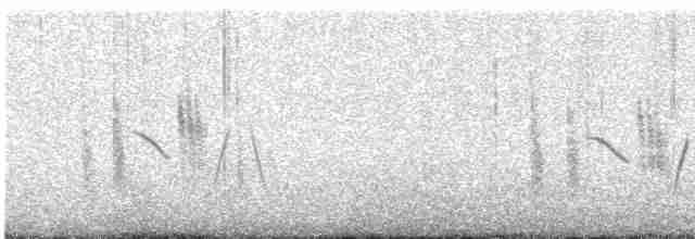 Western Black-eared Wheatear - ML577172411