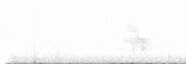 Canada Warbler - ML577178491
