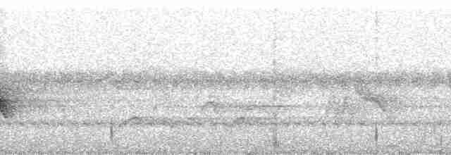 Fan-tailed Warbler - ML57718