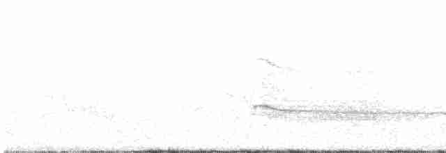 Краснохвостый канюк (borealis) - ML577219051