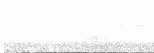 Трясогузковый певун - ML577253941