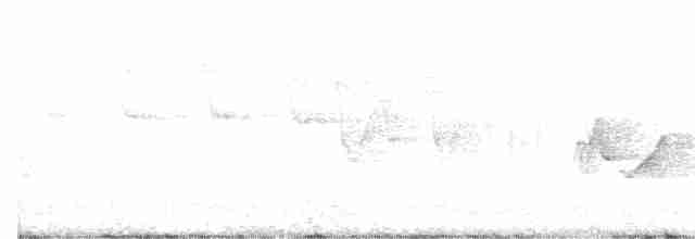 Трясогузковый певун - ML577254121