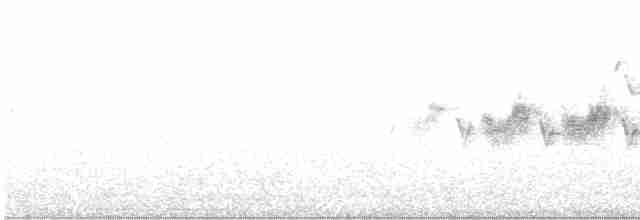 Black-throated Gray Warbler - ML577309471