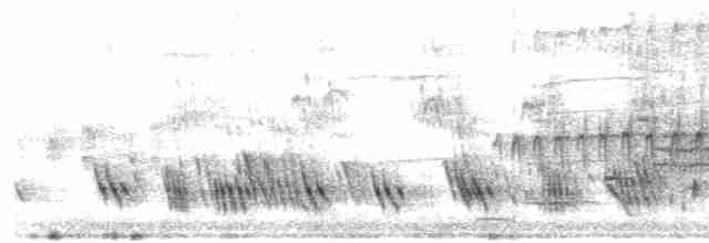 Büyük Mor Kırlangıç - ML577310211