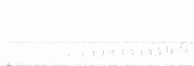 Buff-collared Nightjar - ML577310551