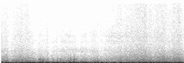 Tinamou curvirostre - ML577323551