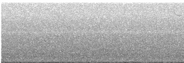 Дрізд-короткодзьоб плямистоволий - ML577324781