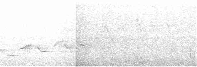 Дрізд-короткодзьоб Cвенсона - ML57733851
