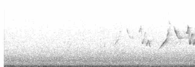 Common Yellowthroat - ML577365531