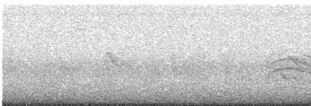Глазчатая кряква - ML577366821